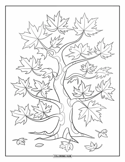 Dibujo de árboles para colorear para niños: Un arce con hojas características y algunas esparcidas alrededor de la base