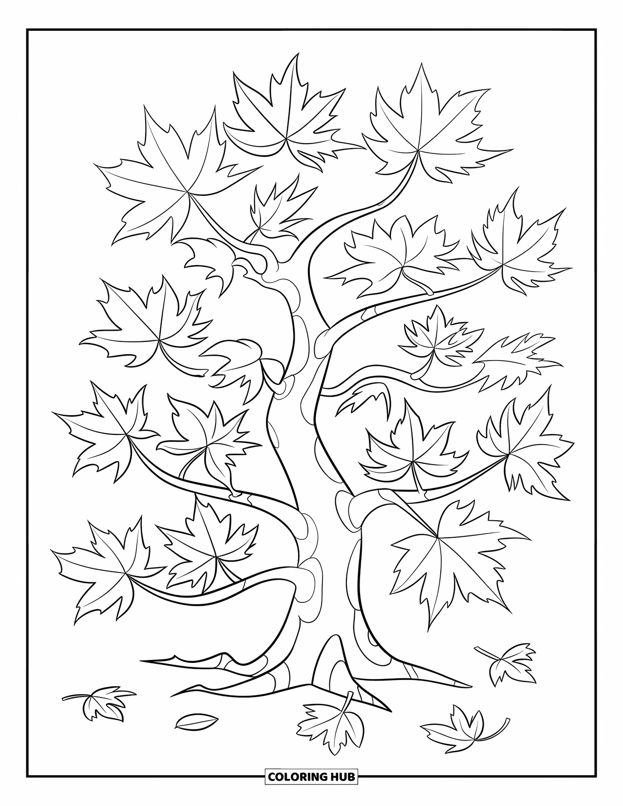 Tree Coloring Page for Kids: A maple tree with unique leaves, a few scattered around the base