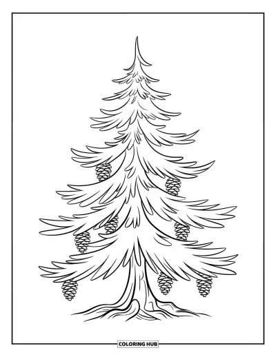 Dibujo de árboles para colorear para niños: Un pino con ramas en capas y piñas colgantes, con tronco liso