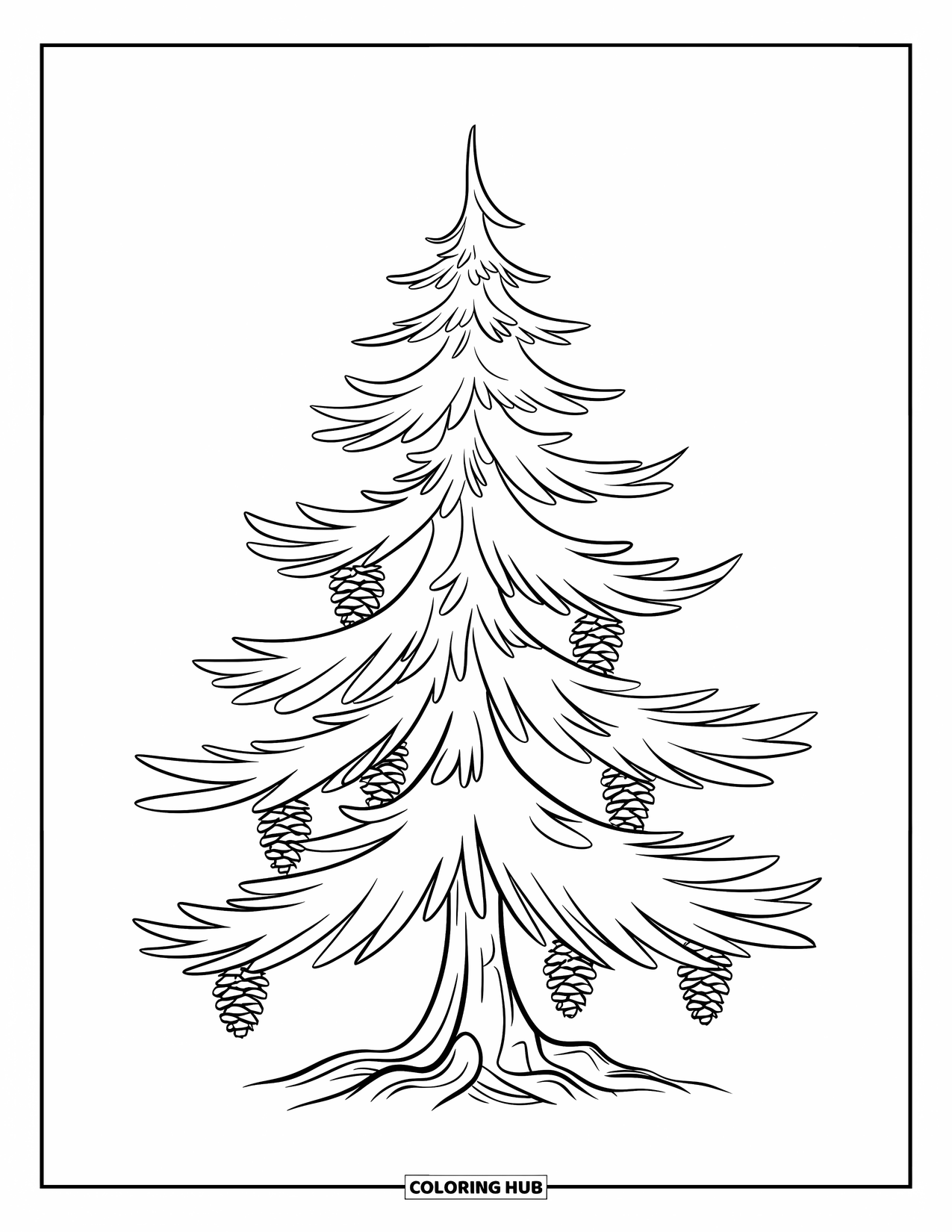 Tree Coloring Page for Kids: A pine tree with layered branches and hanging pinecones, with a smooth trunk