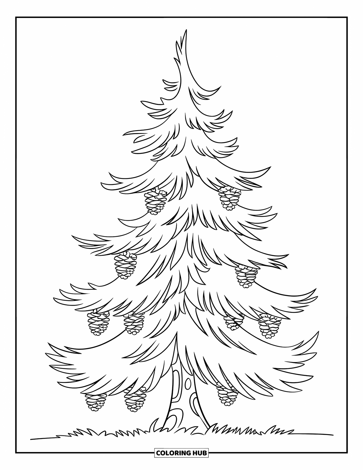Tree Coloring Page for Kids: A pine tree with layered branches and pinecones hanging from them