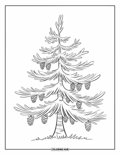 Dibujo de árboles para colorear para niños: Un pino con ramas en capas y piñas, sobre un fondo simple