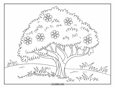 Dibujo de árboles para colorear para niños: Un árbol con flores abiertas en un campo con hierba, con contornos gruesos