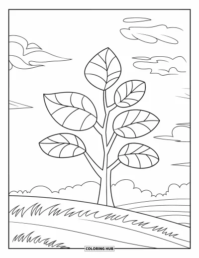 Dibujo de árboles para colorear para niños: Un árbol con cinco hojas grandes, contorneadas para colorear fácil, en un campo con cielo despejado