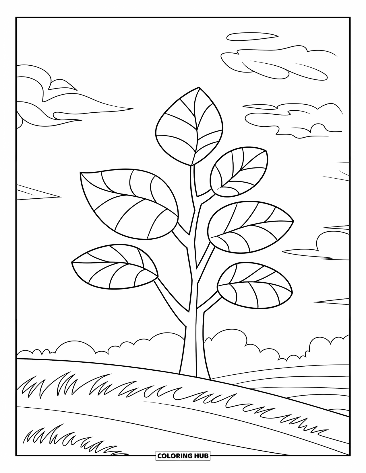 Tree Coloring Page for Kids: A tree with five large leaves, outlined for easy coloring, in a grassy field under a clear sky