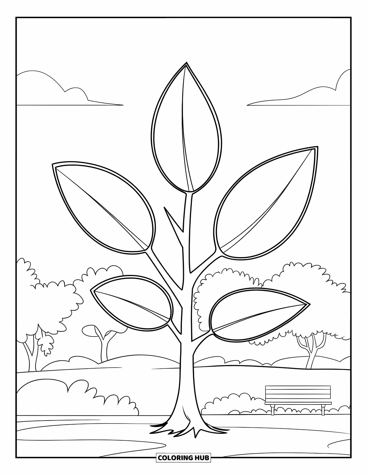 Tree Coloring Page for Kids: A tree with five large leaves, outlined for easy coloring, in a park with a bench
