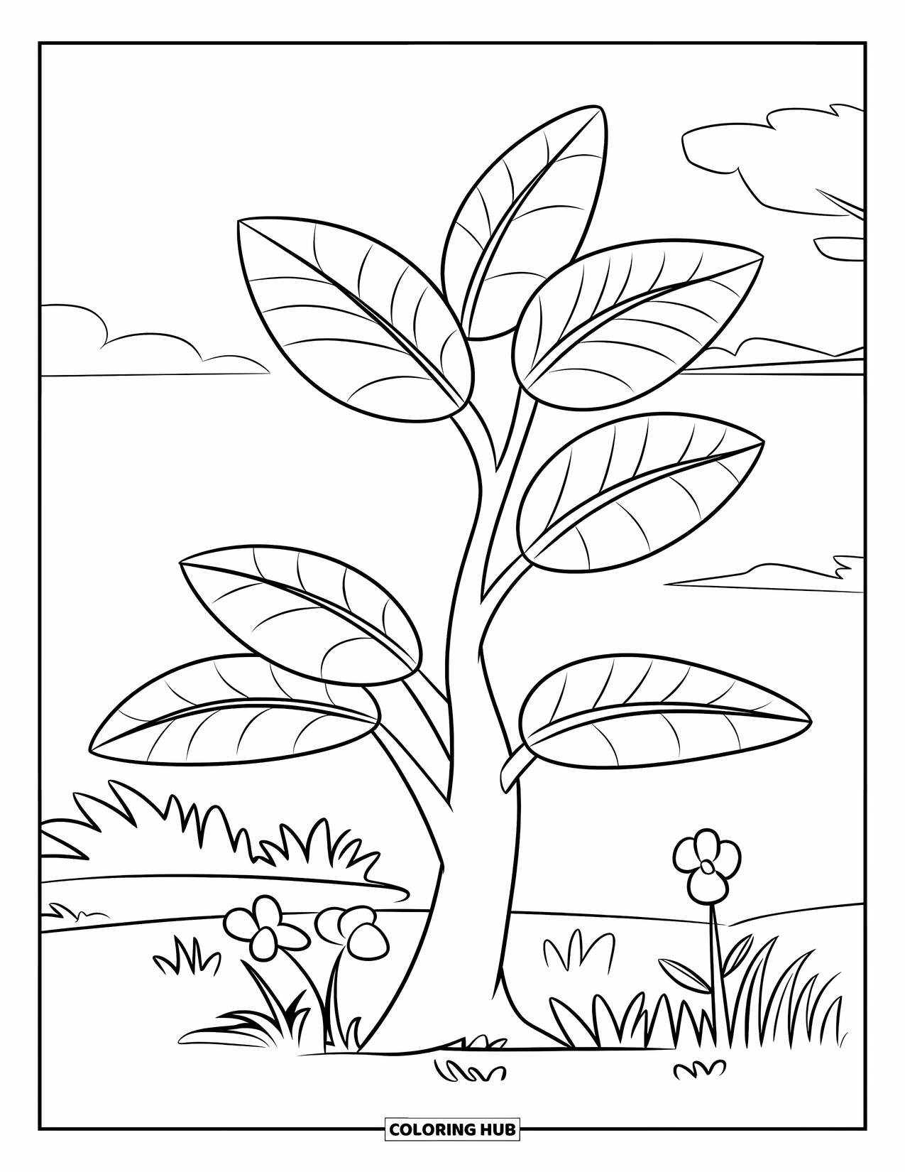 Tree Coloring Page for Kids: A tree with five large leaves, outlined for easy coloring, on grassy ground with flowers nearby