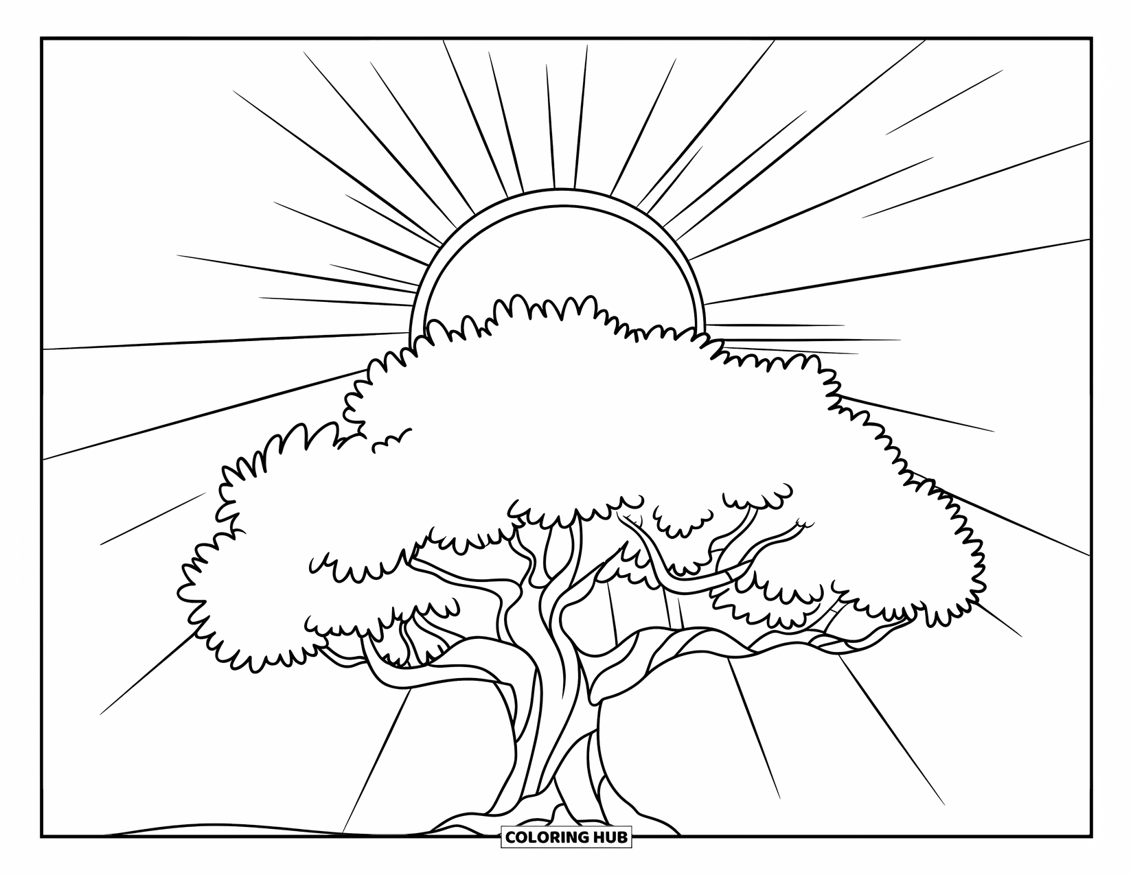 Tree Coloring Page for Kids: A tree with sun rays shining through its branches, with a few leaves and roots
