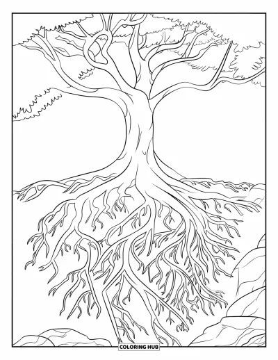 Dibujo de árboles para colorear para niños: Un árbol con tronco grueso, ramas y raíces amplias