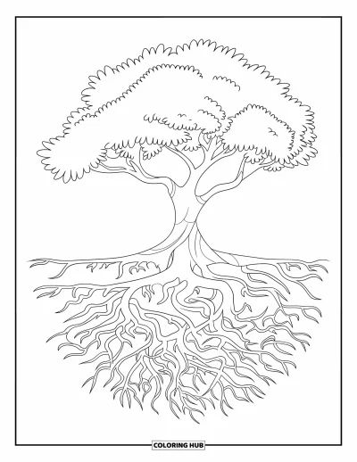 Dibujo de árboles para colorear para niños: Un árbol con raíces retorcidas que se extienden hacia afuera