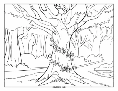 Dibujo de árboles para colorear para niños: Un árbol con enredaderas y un sendero en un bosque misterioso