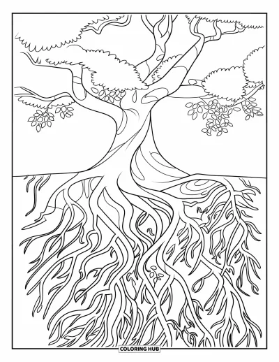 Dibujo de árboles para colorear para niños: Un árbol con raíces retorcidas que se extienden hacia afuera, en un diseño sencillo