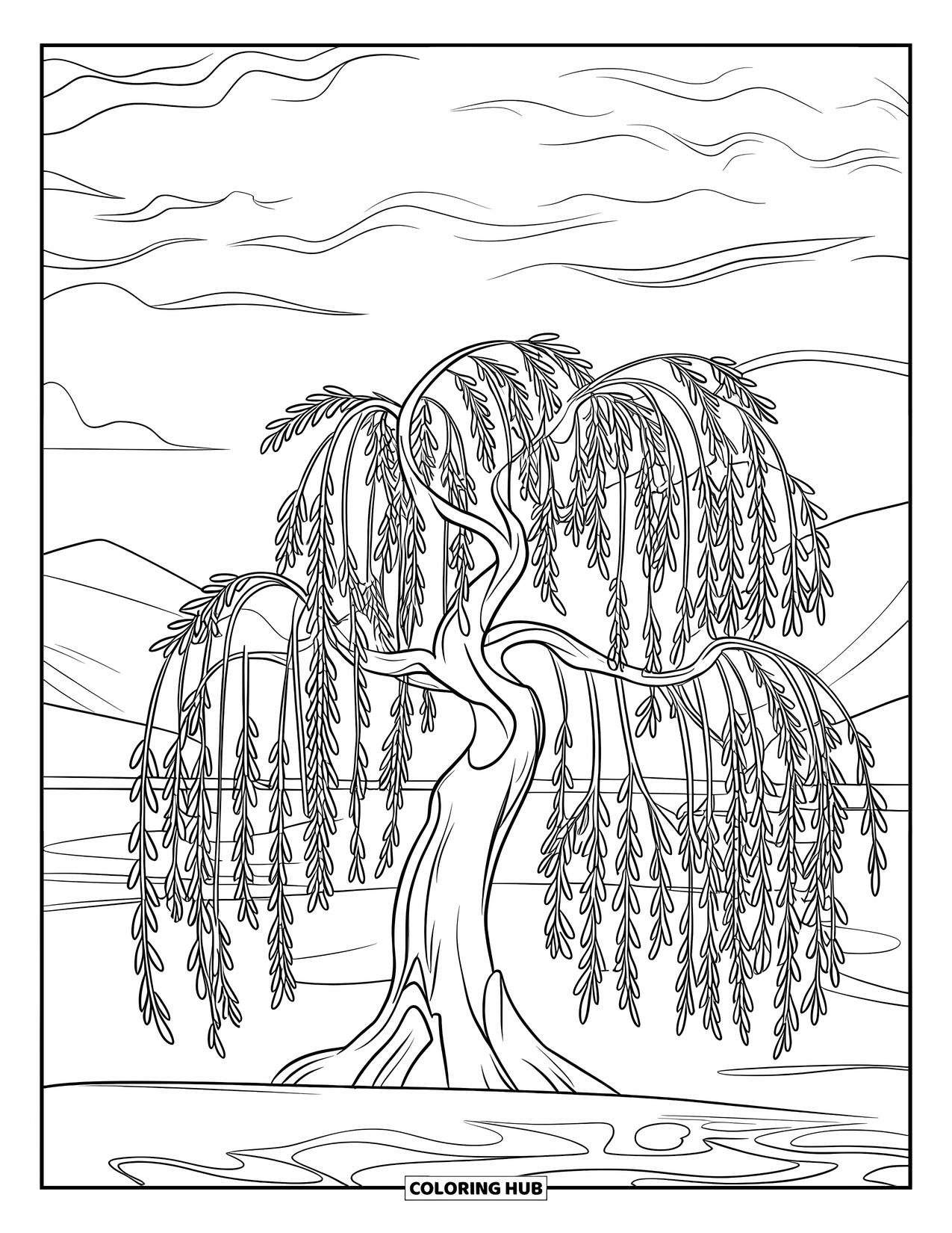 Tree Coloring Page for Kids: A willow tree with long branches, detailed leaves, and a peaceful landscape