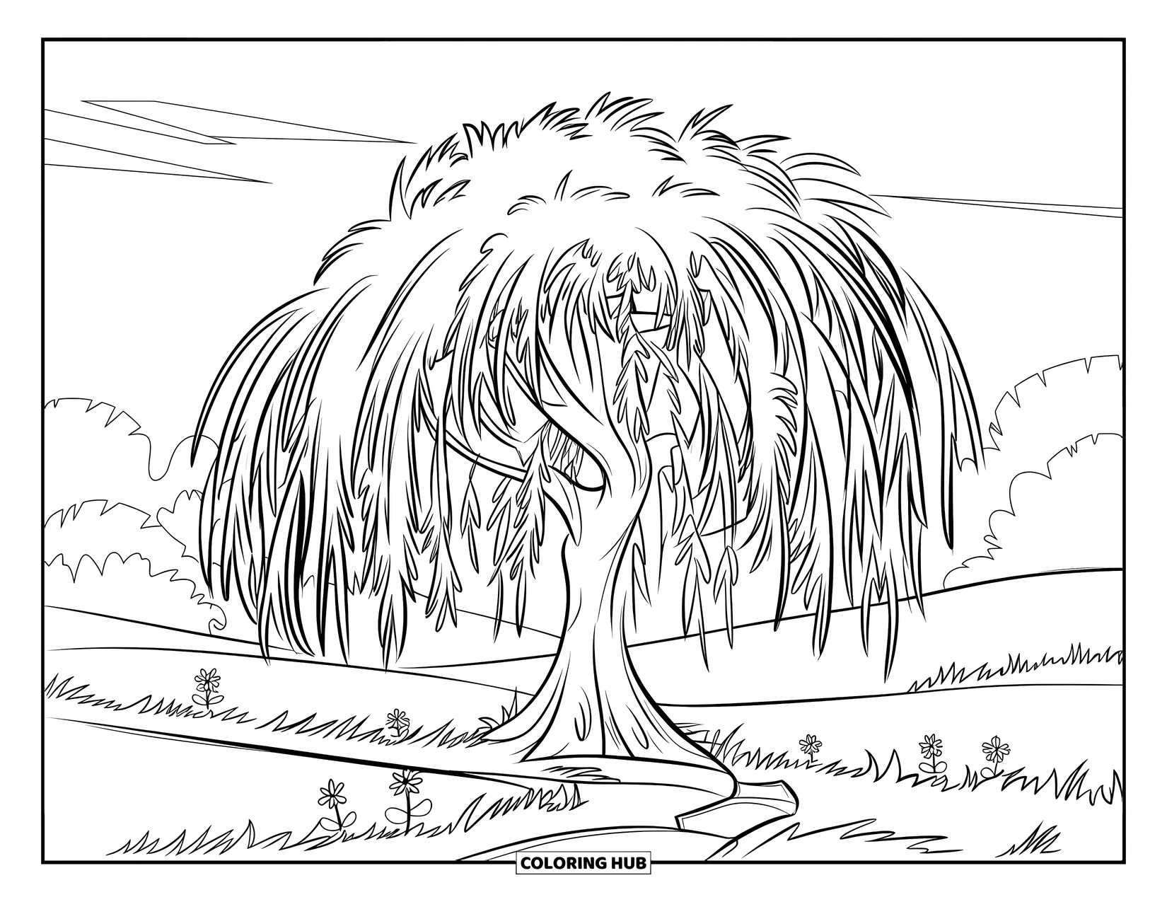 Tree Coloring Page for Kids: A willow tree with long, flowing branches, in a field with a path leading to it