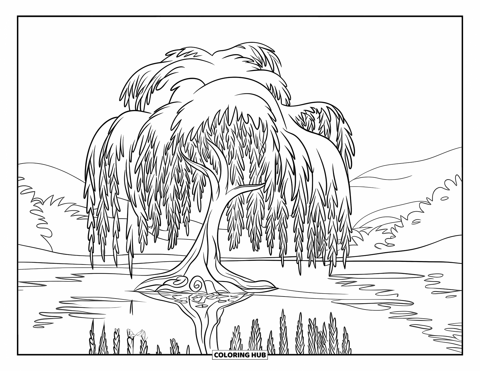 Tree Coloring Page for Kids: A willow tree with long, flowing branches, standing near a calm lake