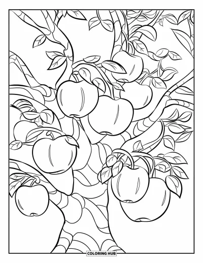 Dibujo de árboles para colorear para niños: Un manzano con algunas manzanas colgando de sus ramas