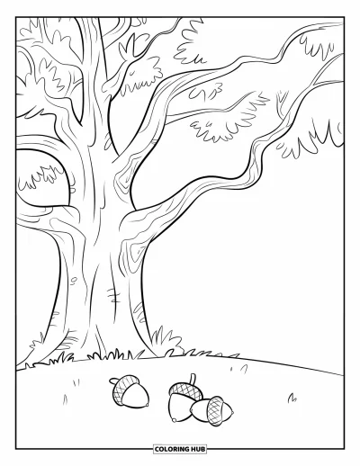 Dibujo de árboles para colorear para niños: Un roble con tronco firme y bellotas, bajo un cielo sin nubes