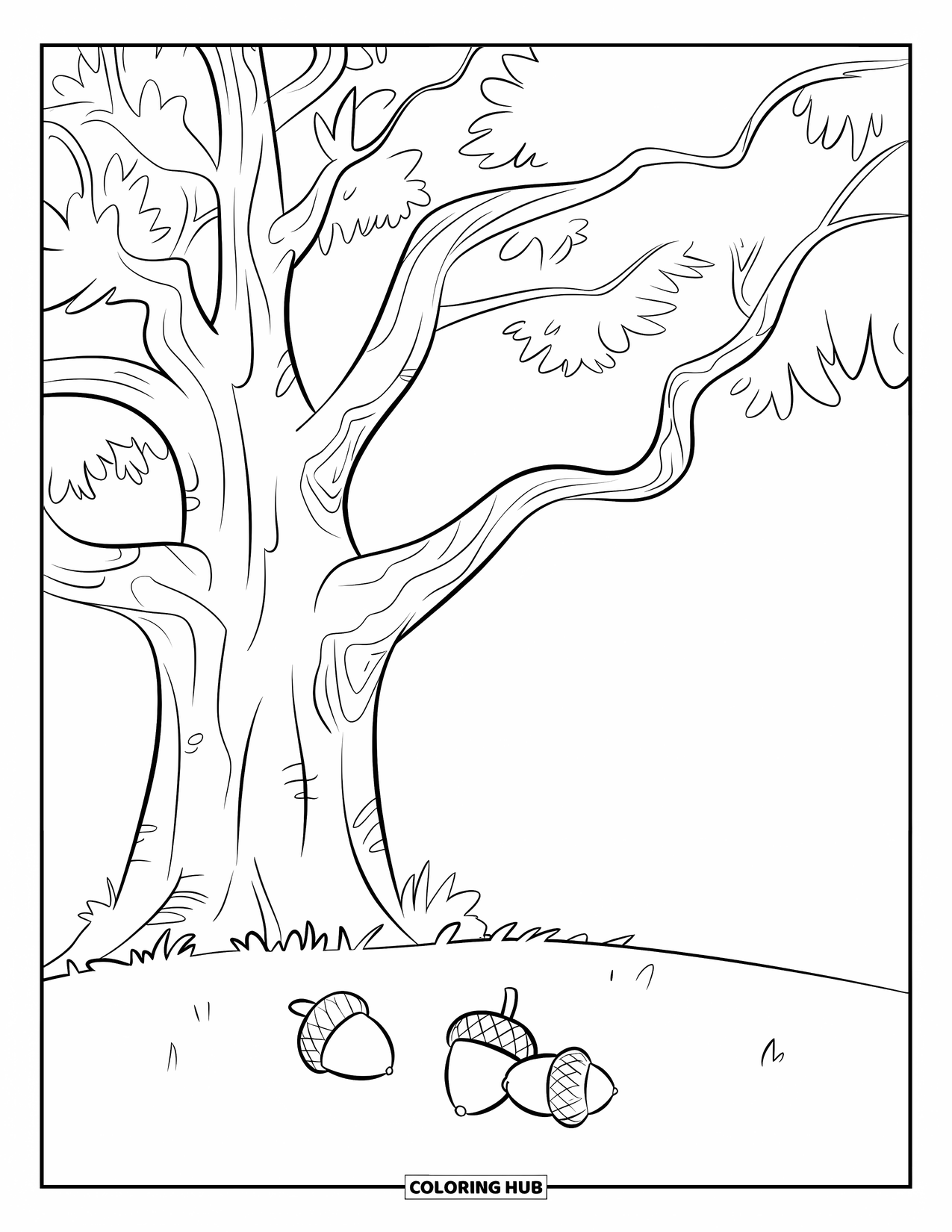Tree Coloring Page for Kids: An oak tree with a sturdy trunk and acorns, under a cloudless sky
