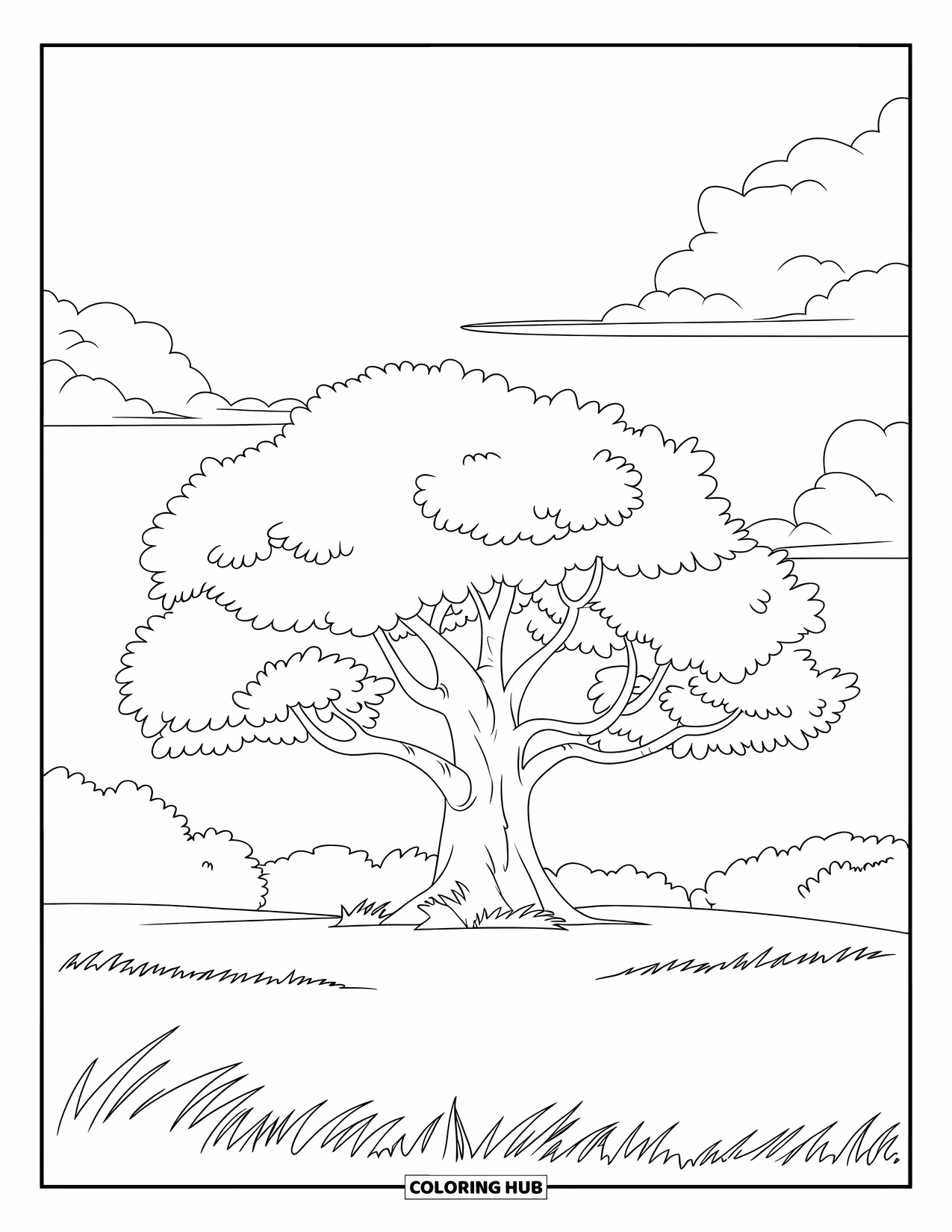 Tree Coloring Page for Kids: An oak tree with a wide trunk and rounded canopy, in a grassy field with a clear sky