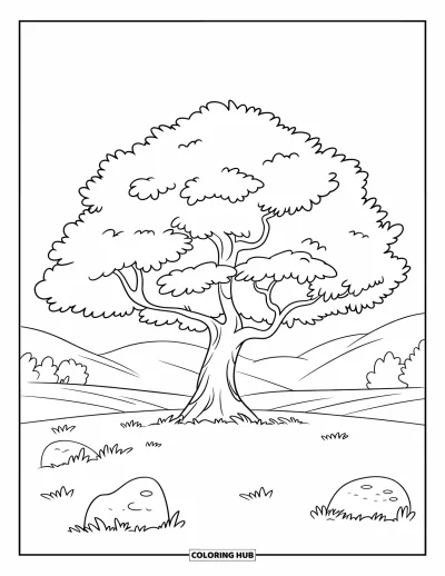 Dibujo de árboles para colorear para niños: Un roble de tronco ancho y copa redondeada, en un campo verde con rocas grandes