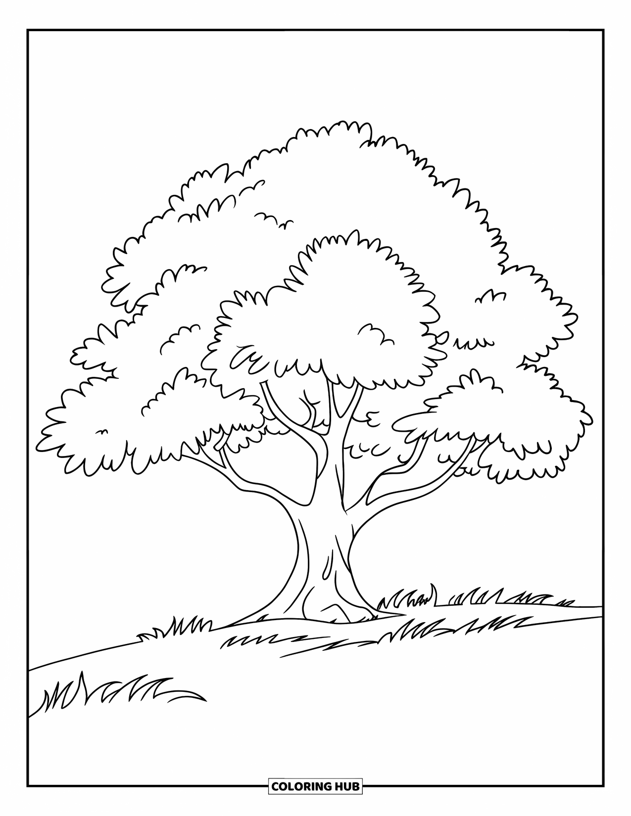 Tree Coloring Page for Kids: An oak tree with a wide trunk and rounded canopy, situated in a grassy field