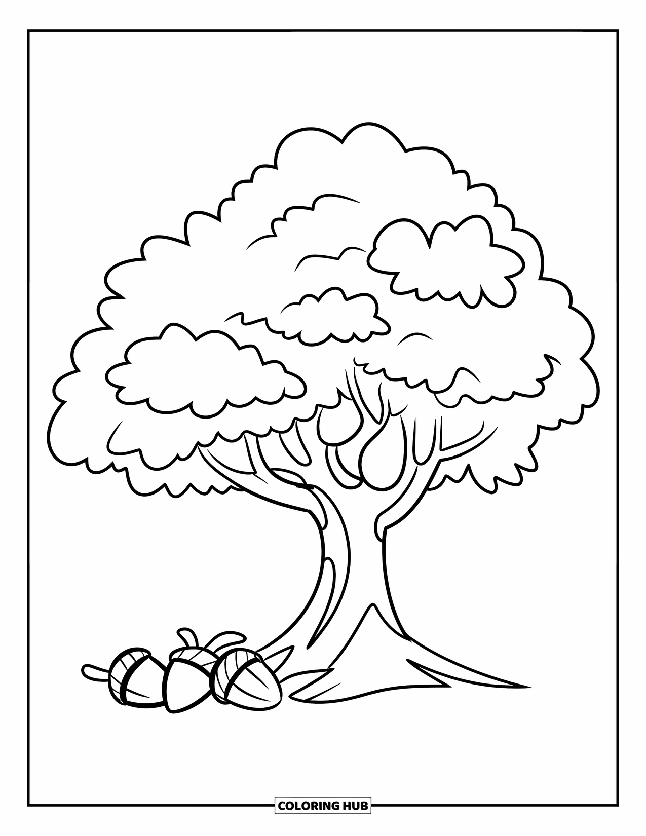 Tree Coloring Page for Kids: An oak tree with a wide trunk and rounded canopy, with acorns at its base