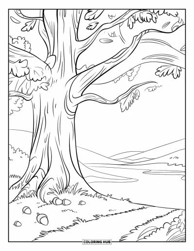 Dibujo de árboles para colorear para niños: Un roble con textura visible en la corteza, bellotas en el suelo y paisaje sereno