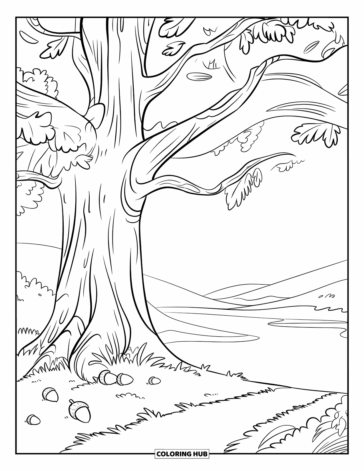 Tree Coloring Page for Kids: An oak tree with visible bark texture, acorns on the ground, and a serene landscape