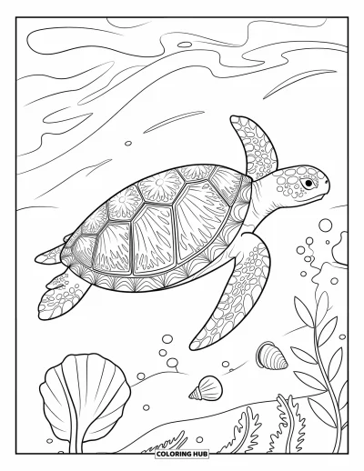 Desenho de tartarugas para colorir para adultos: Uma tartaruga com casco decorativo nada entre conchas e algas na água