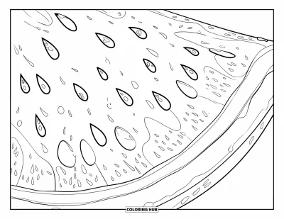 Coloriage Pastèque pour adultes : Une tranche de pastèque très détaillée avec une pulpe texturée, des graines délicates et des gouttelettes scintillantes