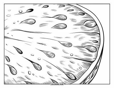 Coloriage Pastèque pour adultes : Un gros plan hyper-détaillé d'une tranche de pastèque avec une pulpe texturée et des détails de graines délicats
