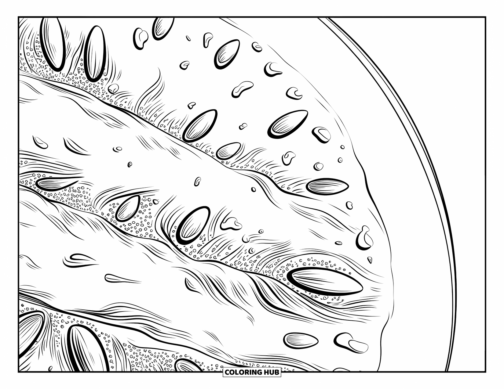 Watermelon Coloring Page for Adults: A realistic close-up of a watermelon slice, with intricate textures and tiny water droplets