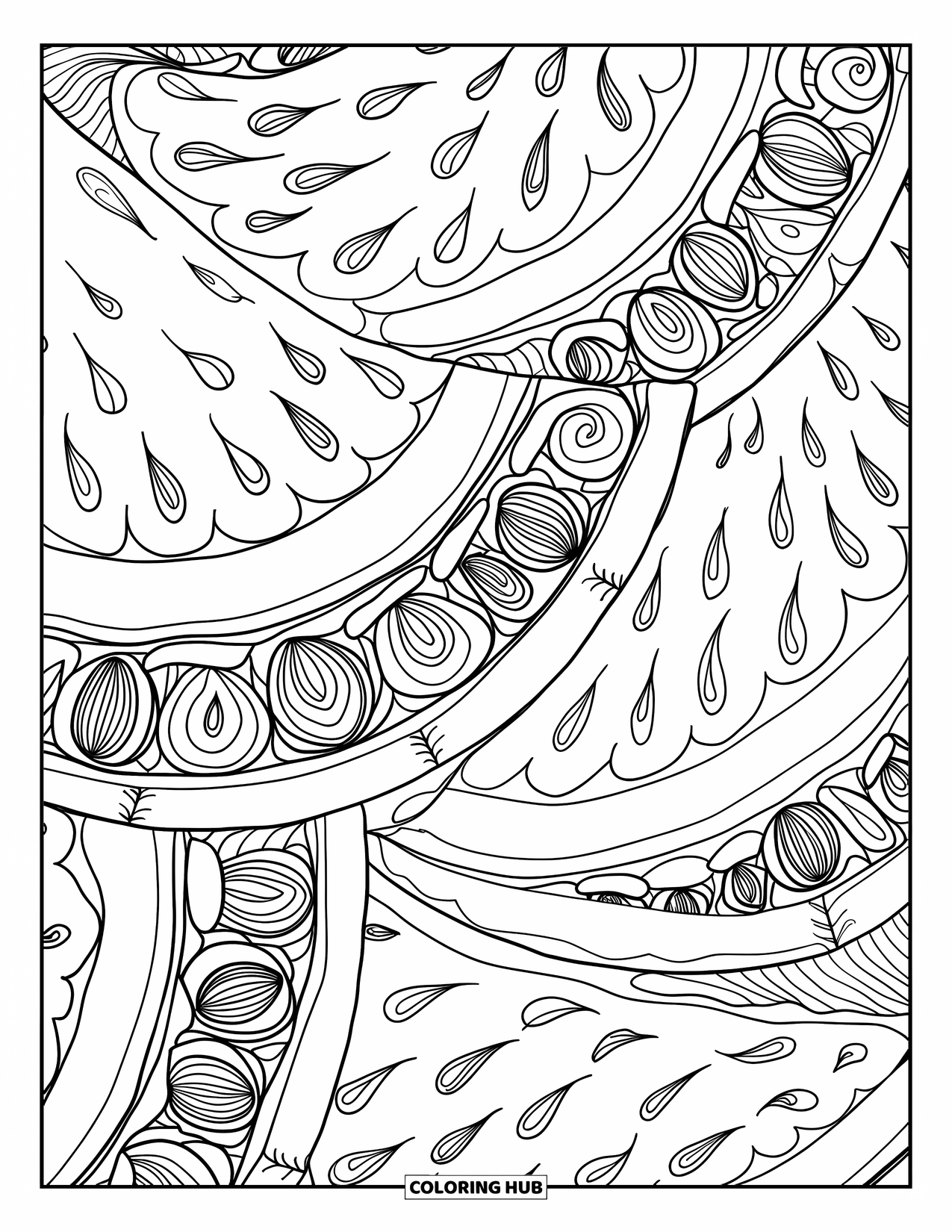 Watermelon Coloring Page for Adults: An artistic watermelon pattern featuring zentangle-style swirls and fine ornamental details
