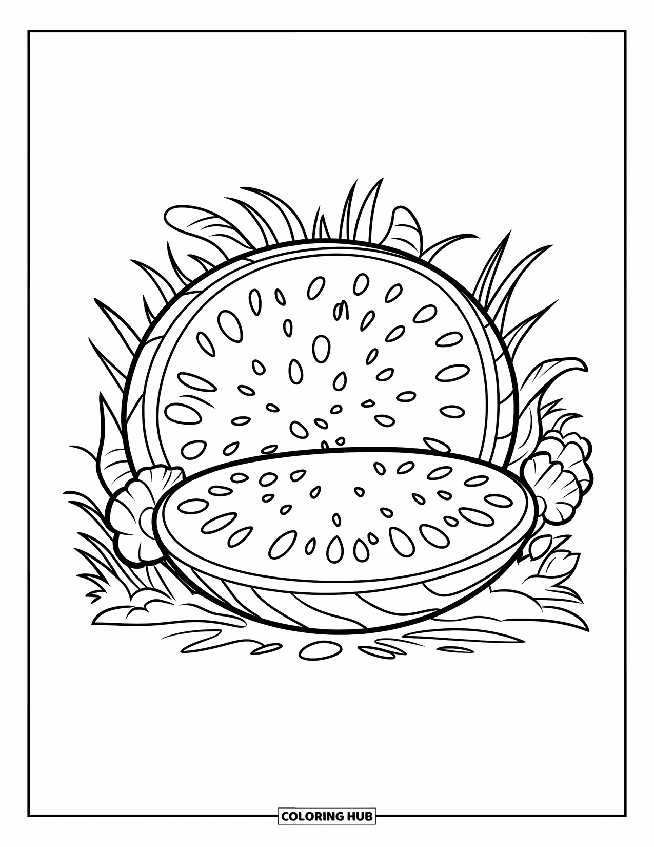 Watermelon Coloring Page for Kids: A halved watermelon with visible seeds and rind, resting in grass with flowers around it