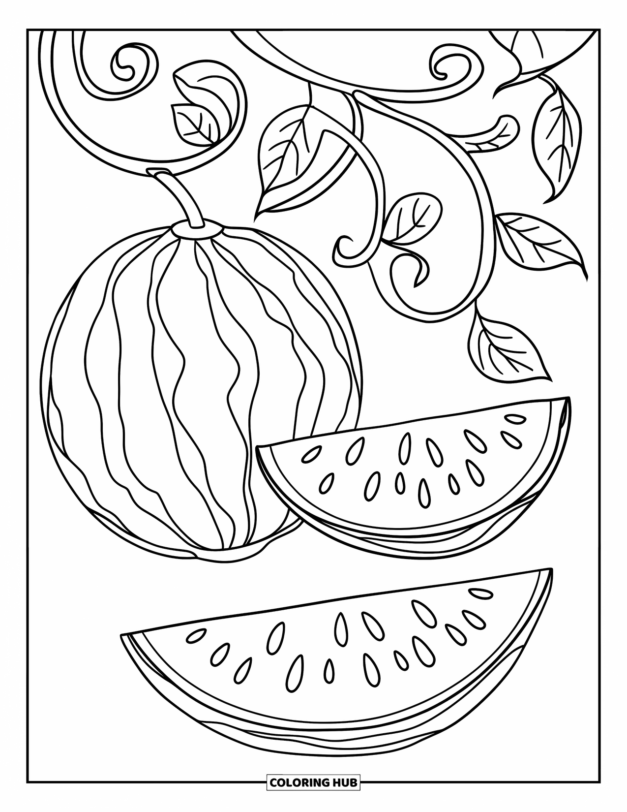 Watermelon Coloring Page for Kids: A twisting watermelon vine with curling tendrils, leafy branches, and two hanging watermelons