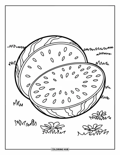 Coloriage Pastèque pour enfants : Une pastèque coupée en deux, placée sur un champ herbeux avec des fleurs lumineuses et un ciel ouvert