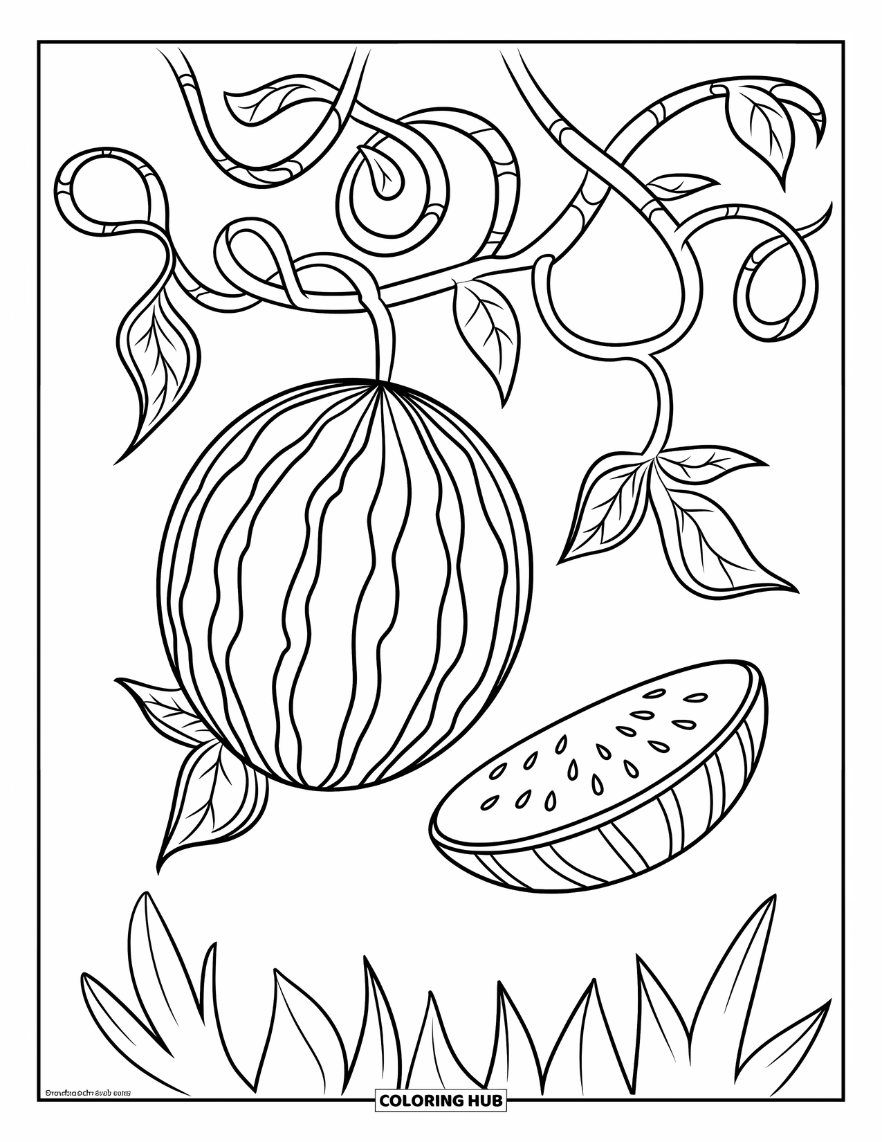 Watermelon Coloring Page for Kids: A watermelon vine with curling tendrils and leaves, featuring one whole and one sliced watermelon