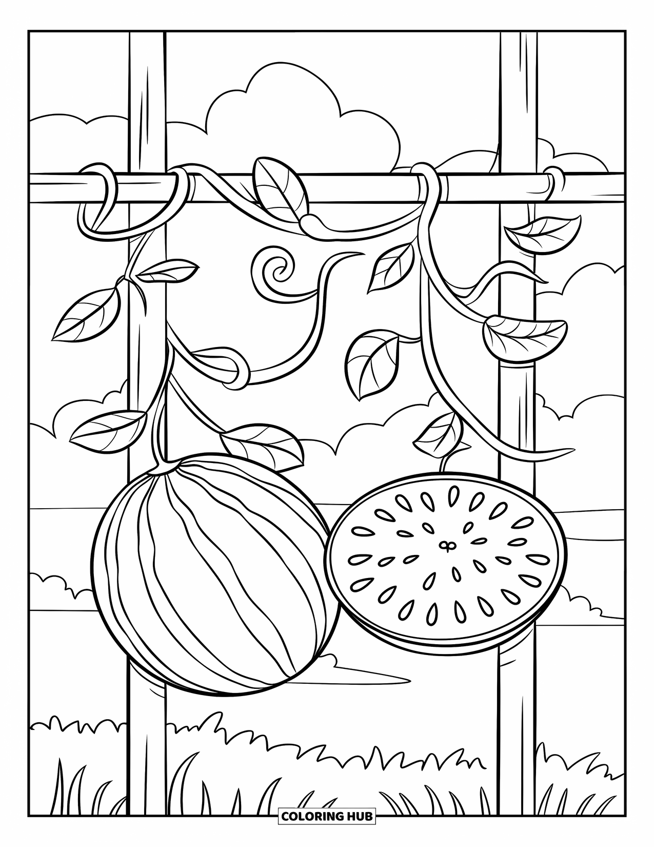 Watermelon Coloring Page for Kids: A watermelon vine with curling tendrils grows on a trellis, with two hanging watermelons