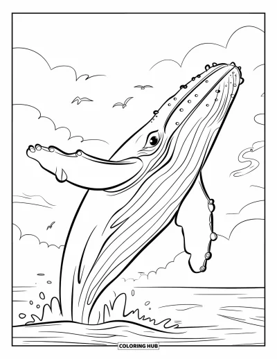Coloriage de baleine pour enfants : Une baleine à bosse émerge de l'eau, son corps se cambrant tandis que des oiseaux de mer volent au-dessus