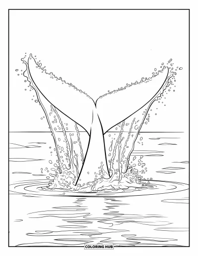 Coloriage de baleine pour enfants : Une queue de baleine majestueuse éclabousse haut au-dessus de l'eau, des gouttelettes se dispersant dans toutes les directions