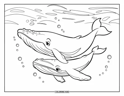 Coloriage de baleine pour enfants : Une mère et son bébé baleine flottent dans des eaux paisibles, de douces vagues et des bulles les entourant