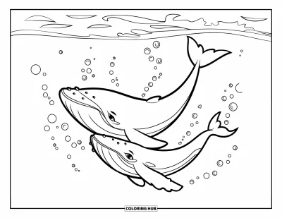 Coloriage de baleine pour enfants : Une mère et son bébé baleine glissent dans la mer, des bulles ludiques s'élevant autour d'eux