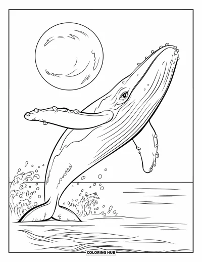 Coloriage de baleine pour enfants : Une baleine puissante saute de la mer sous une pleine lune, des vagues ondoyant autour de son corps