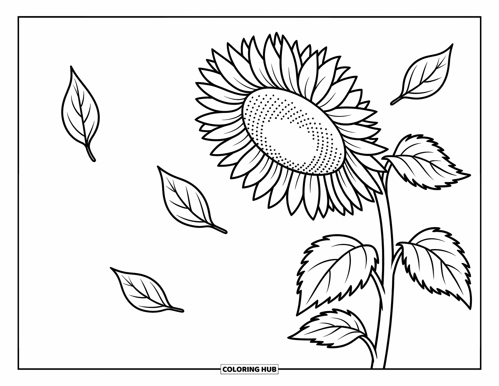 Desenho de outono para colorir para crianças: Um girassol grande com pétalas se estendendo e folhas caindo