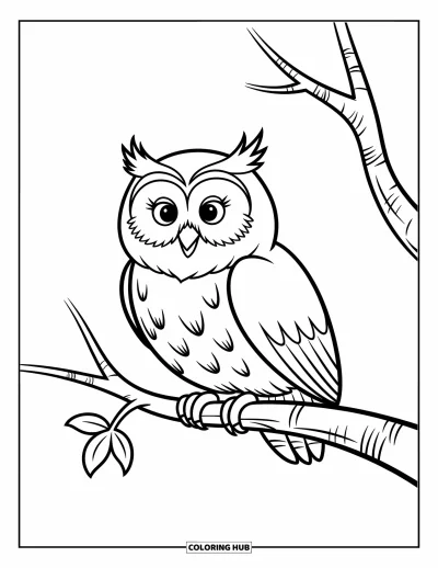 Autumn Coloring Page for Kids: A round owl with wide eyes rests on a branch next to a leaf