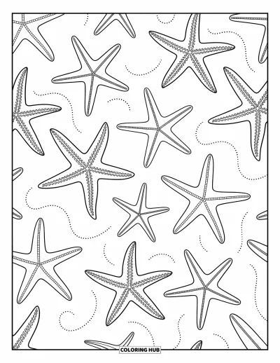 Coloriage de plage pour adultes : Une collection d'étoiles de mer décoratives dans un magnifique motif océanique détaillé