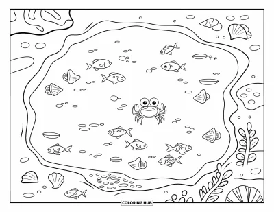 Coloriage de plage pour enfants : Une flaque de marée rocheuse remplie de créatures marines avec de douces vagues à proximité