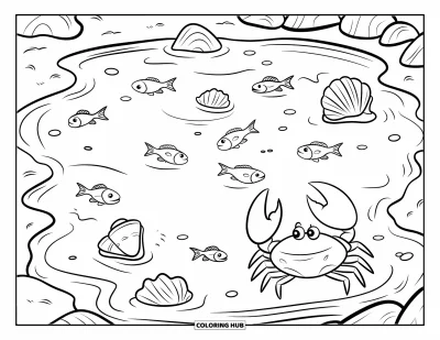 Coloriage de plage pour enfants : Une petite flaque de marée avec coquillages, petits poissons et un crabe qui explore l'eau