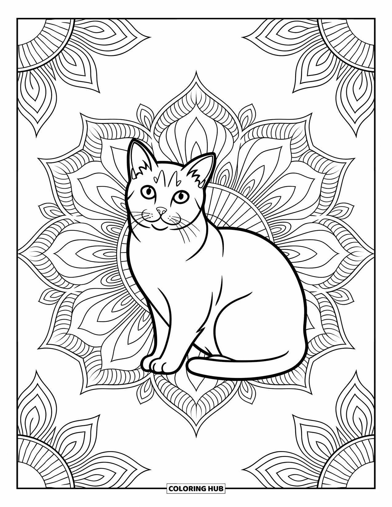 Kleurplaat Kat voor Volwassenen: Een kalme Scottish Fold kat zit in een mandala, omlijst door elegante, ingewikkelde patronen en delicate ontwerpen