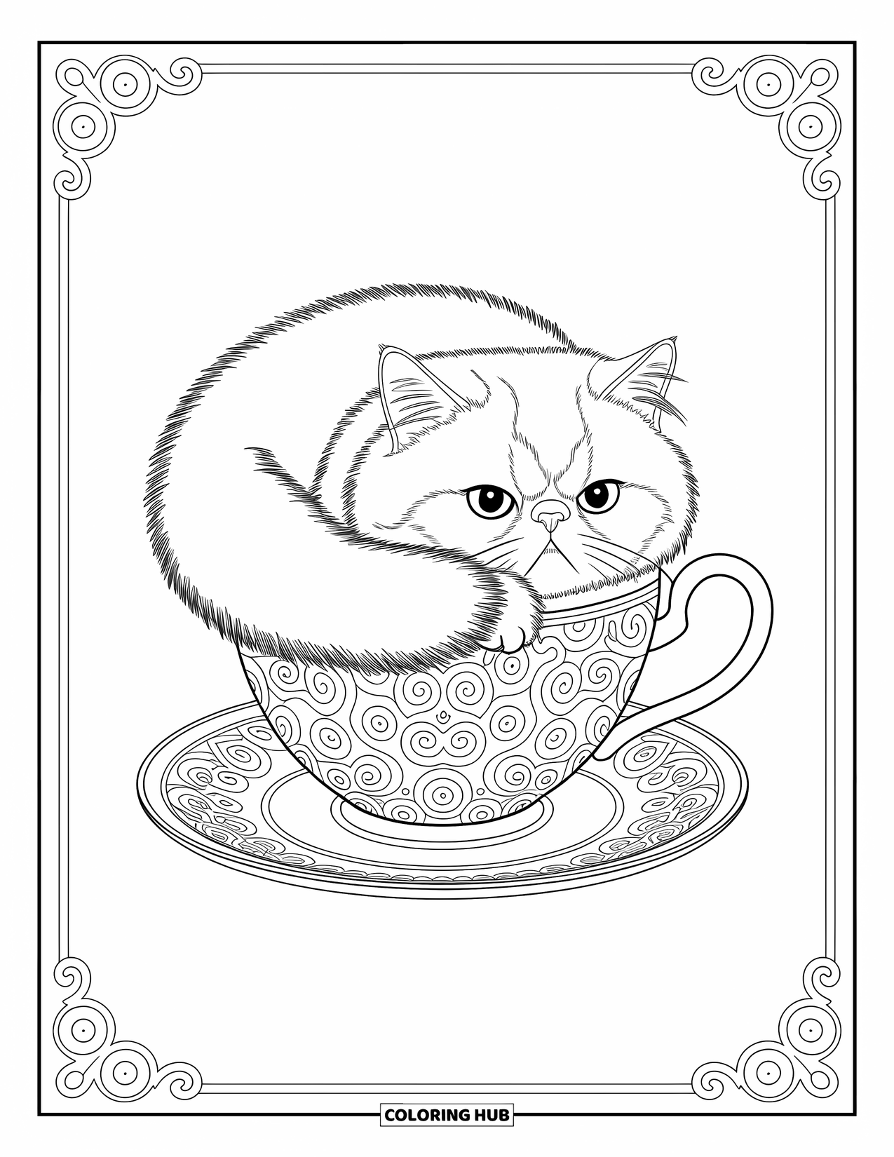 Kleurplaat Kat voor Volwassenen: Een pluizige Perzische kat ligt in een gedessineerd theekopje, omlijst door delicate wervelingen en ingewikkelde randen
